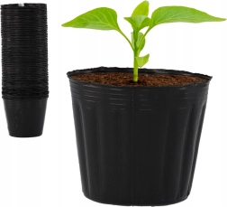 Set de 100 ghivece pentru răsaduri 7,5 × 6,7 cm