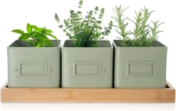 Set de ghivece pentru plante aromatice GREENISH cu suport, 3 buc.