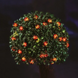 Ghirlandă luminoasă LED solară cu buburuze, 2,4 m, 25 LED-uri, alb cald
