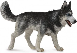 Collecta husky siberian – figurină
