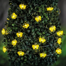 Ghirlandă luminoasă LED solară cu albine, 2,4 m, 25 LED-uri, alb cald