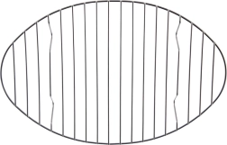 Grătar din inox pentru tavă de copt 32,5 × 21 cm ORION