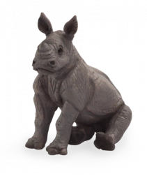 Mojo Rinocheruț tânăr șezând