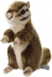 Plăcuțe de frână pentru puntea față