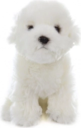 Bichon maltez de pluș 31 cm