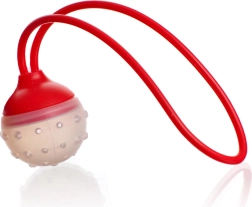 Strecurătoare din silicon pentru ceai și condimente CULINARIA, 5 × 22 cm, roșie