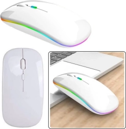 Mouse Ergonomic Fără Fir Alb