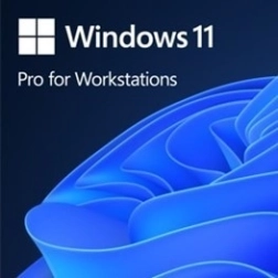 Windows 11 Pro pentru stații de lucru OEM (PL, 64-bit)