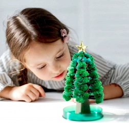 Pomul de Crăciun magic