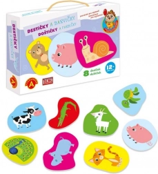 Alexander descoperire pentru cei mai mici – tăblițe colorate