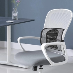 Suport ortopedic pentru spate