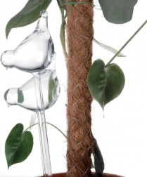 Bile din sticlă pentru auto-udare pentru ghivece – păsări, 2 buc