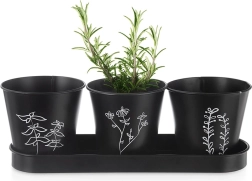 Set de ghivece pentru ierburi aromatice cu tăviță Blackline, 4 piese