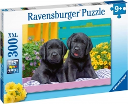 Puzzle Ravensburger Puppy Life 300 piese