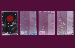 Husă pentru caiet A4 cu sclipici