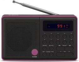 Radio Pliszka USB FM negru
