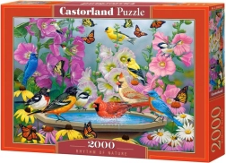 Puzzle 2000 piese Rhythm of Nature