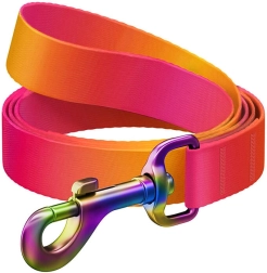 Lesă pentru câini WAUDOG din nailon cu gradient, portocaliu