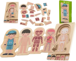 Puzzle stratificat din lemn – corpul uman Montessori