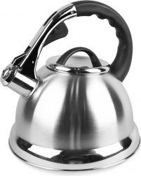 Ceainic din oțel inoxidabil 2,8 l Maestro