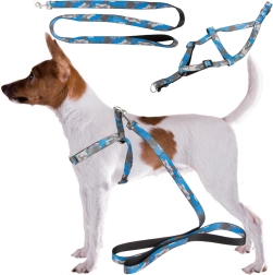 Ham pentru câini și pisici cu lesă reglabilă – set confortabil