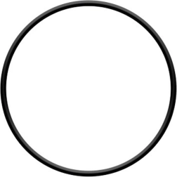O-ring de etanșare pentru capul filtrării ProStar 4 și ProStar 6