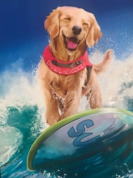 Set pentru pictură cu diamante 5D 30 × 30 cm – mozaic cu pietricele