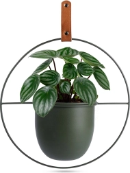 Suport suspendat verde din metal pentru ghiveci Home Styling Collection 30 × 30 cm