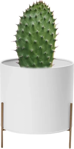 Ghiveci decorativ metalic alb cu suport auriu 17 cm