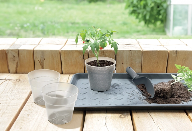 Susține creșterea sănătoasă