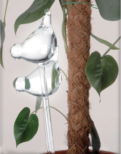 Instalare ușoară în orice ghiveci