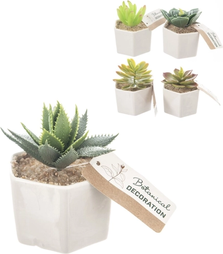 Plantă decorativă în ghiveci ceramic 6 × 6 × 10 cm (5 variante)