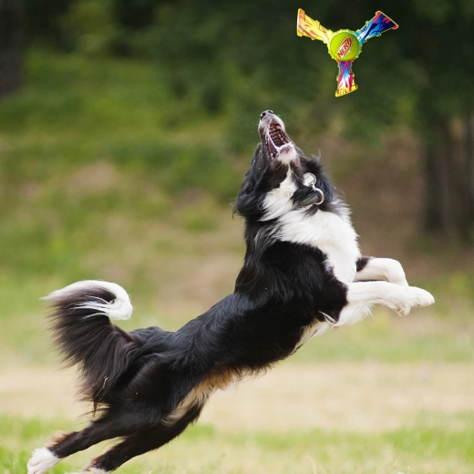 Joc distractiv în aer liber și aport