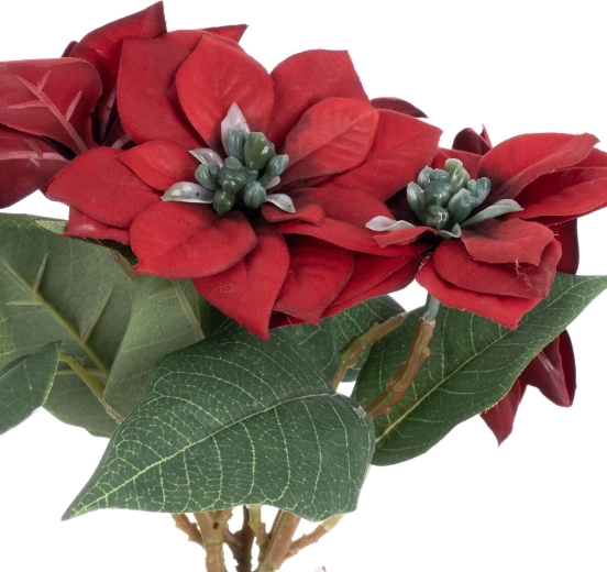 Aspect realist al frunzelor și florilor