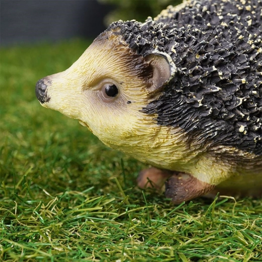 Rezistentă la intemperii pe tot parcursul anului