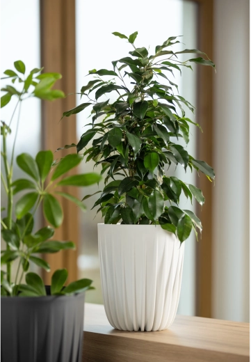 Ușor, rezistent și pregătit pentru exterior