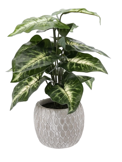 Decorațiune fără întreținere, pentru tot anul