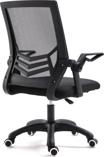 Suport ergonomic pentru spate