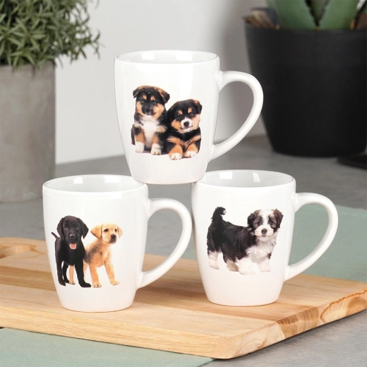 Întreținere fără griji: mașină de spălat vase și microunde