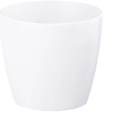 Ghiveci Magnolia alb 210 mm
