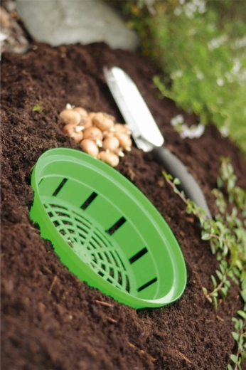 Scoatere și transplantare ușoare