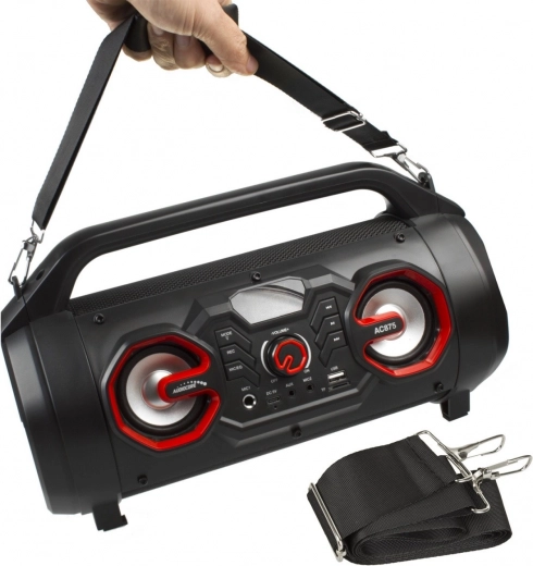 Karaoke cu înregistrare și 2 intrări pentru microfon
