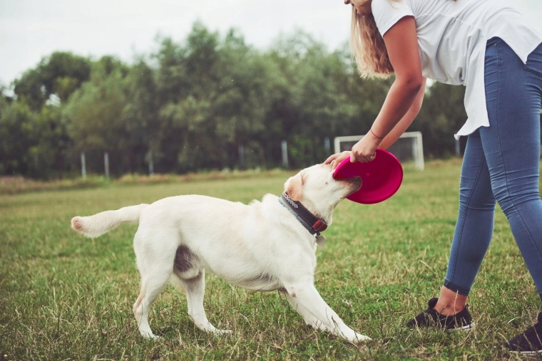Vizibilitate ridicată în parc și în aer