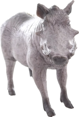 Ideală pentru educație și colecționare