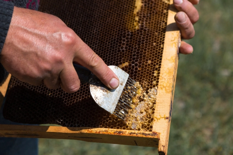 Vârfuri din inox precise pentru descăpăcit rapid