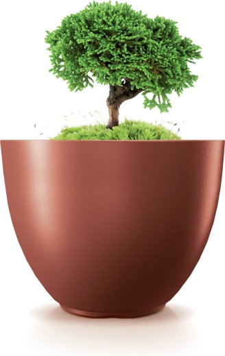 Ideal pentru plante de interior și exterior