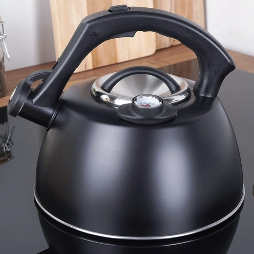 Termometru integrat pentru turnare precisă