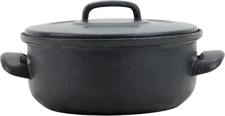 Castron emailat cu capac 20 cm, 2 l BSE