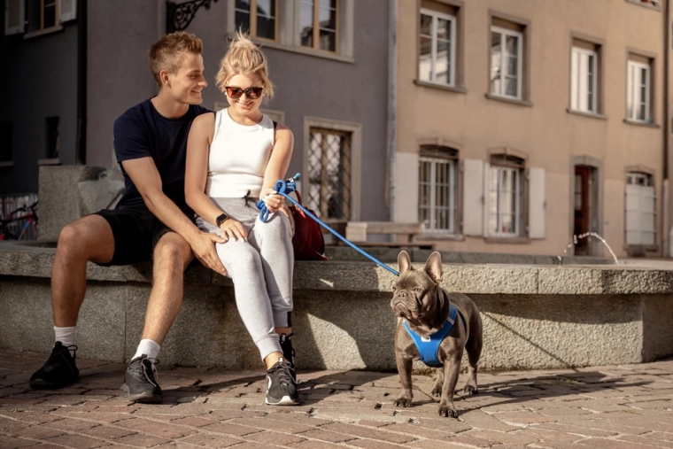 Priză moale și construcție rezistentă