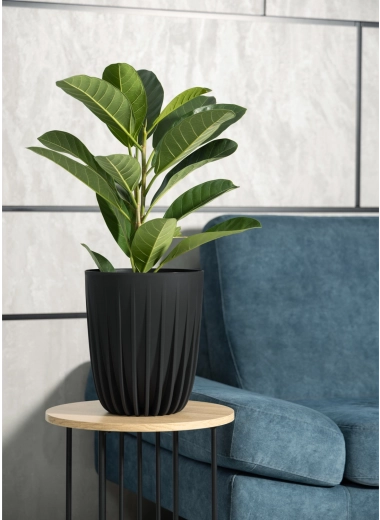 Design modern striat